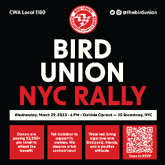Rally flier_02